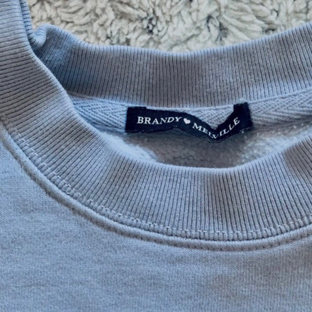 brandy melville erica sweatshirt